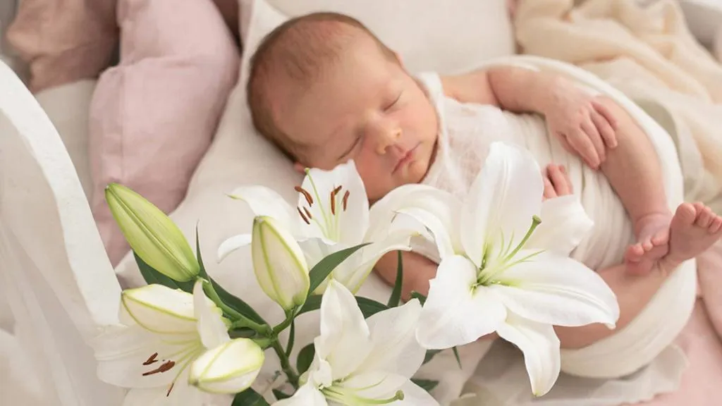 REGIONS/Сгенерировано нейросетью