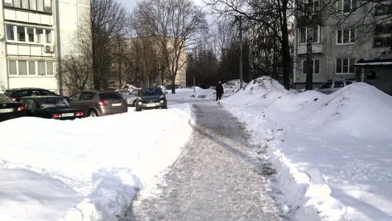Пресс-служба ОНФ в МО