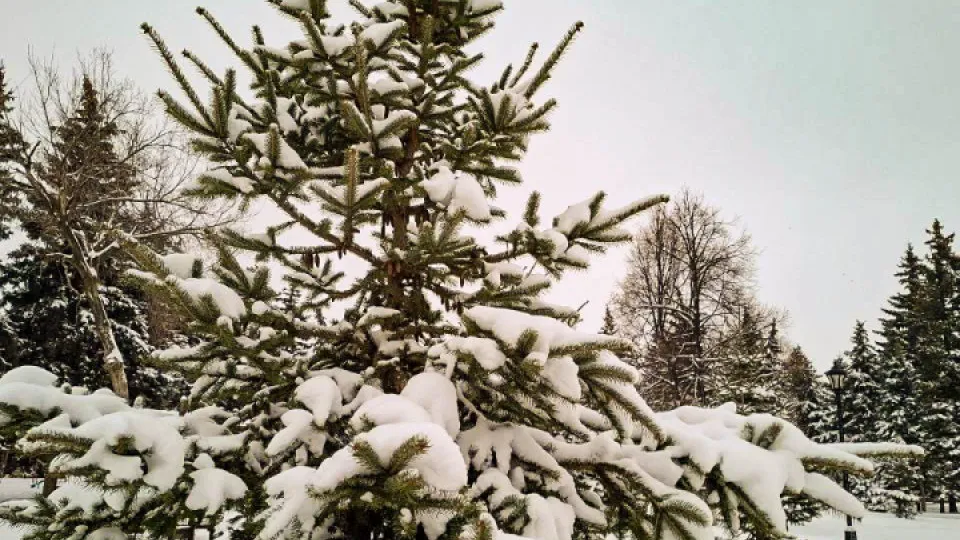 Фото: REGIONS/Юлия Габбасова