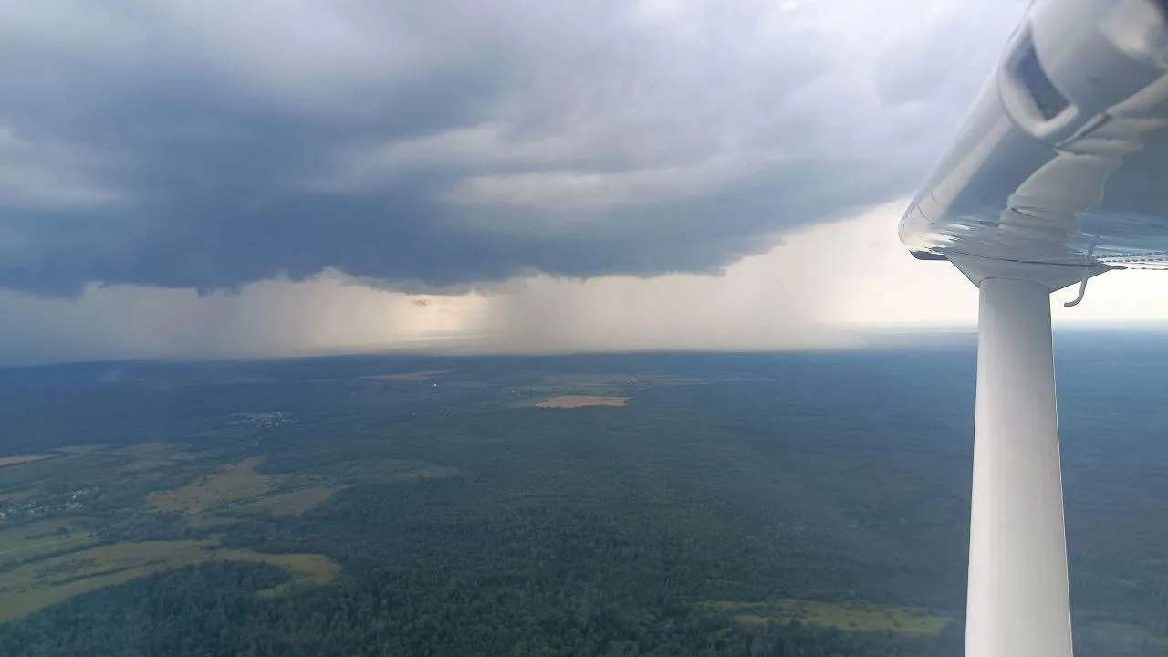 Фото: Комитет лесного хозяйства Московской области