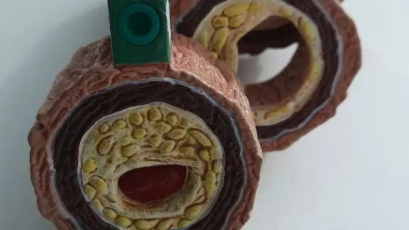 пресс-служба Зарайской больницы