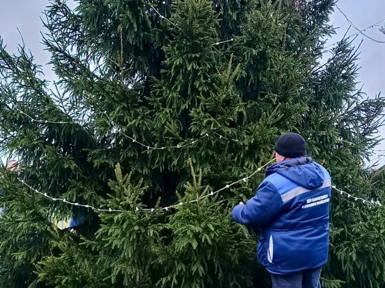 Фото: пресс-служба администрации Наро-Фоминского г.о.&nbsp; &nbsp; &nbsp; &nbsp; &nbsp; &nbsp;&nbsp;