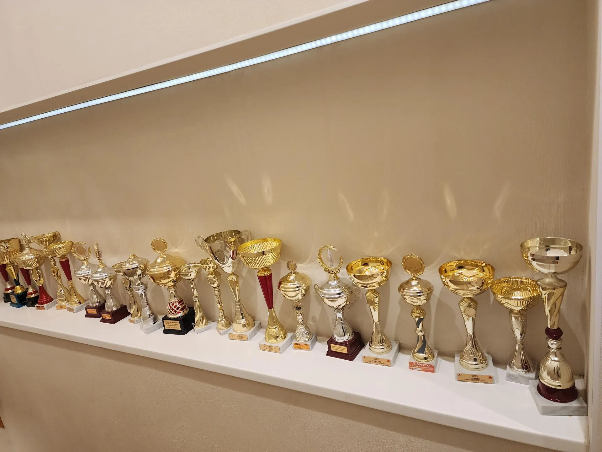 Фото: Светлана Борщева