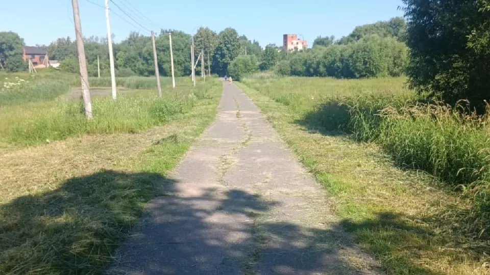 Фото: Администрация городского округа Лотошино