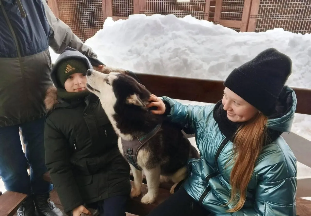 Источник: Министерство образования Московской области