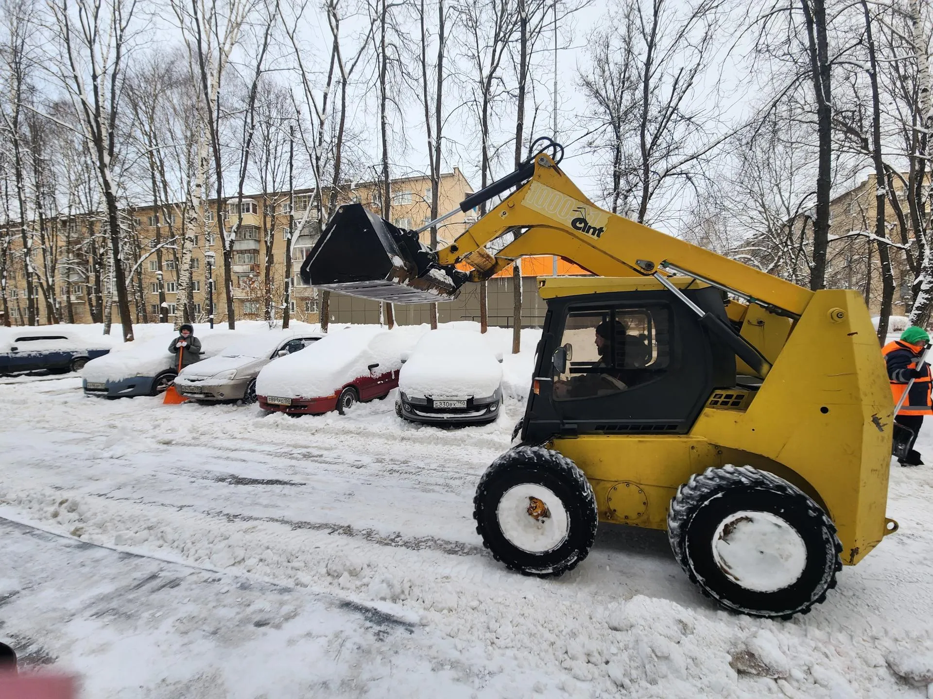 Фото: Светлана Борщева