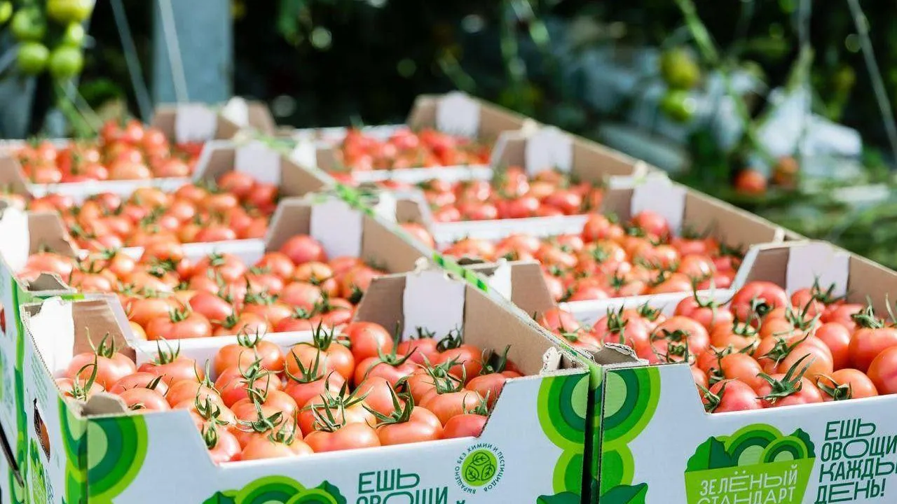 пресс-служба губернатора и правительства Московской области