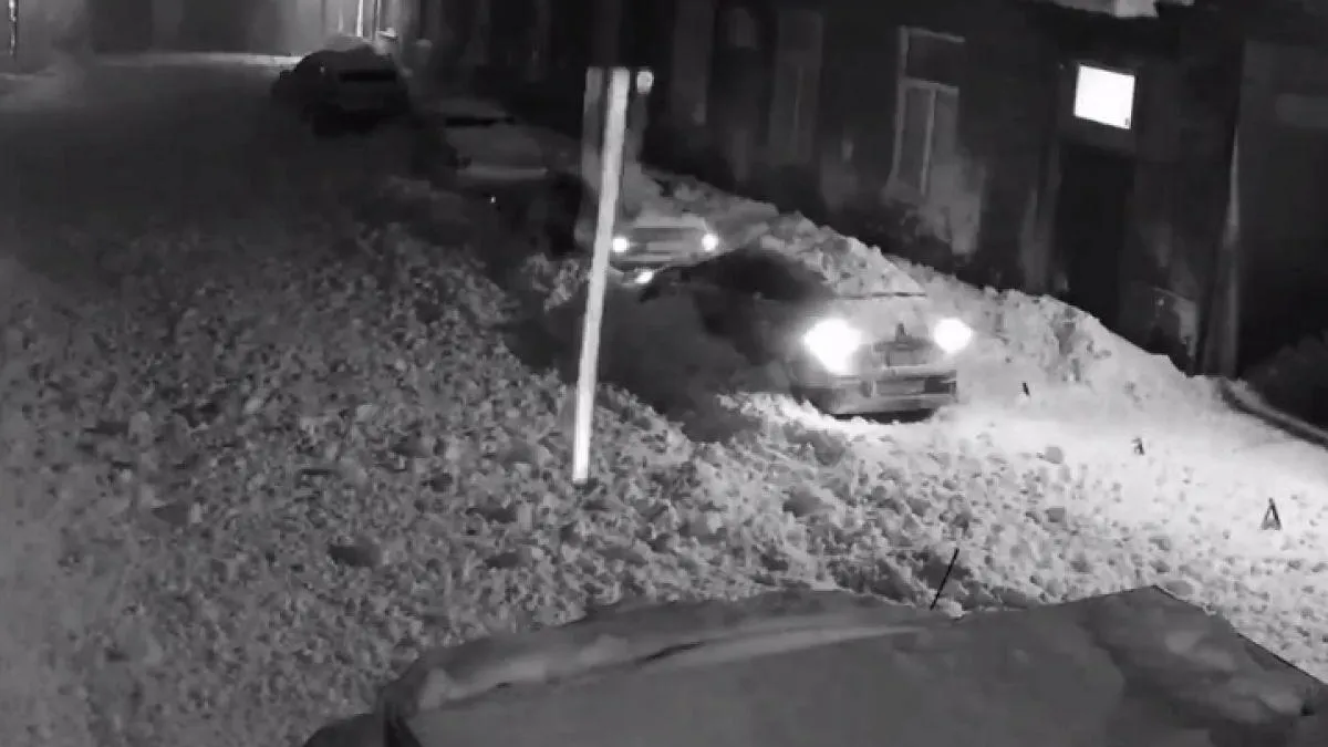 фото: скриншот