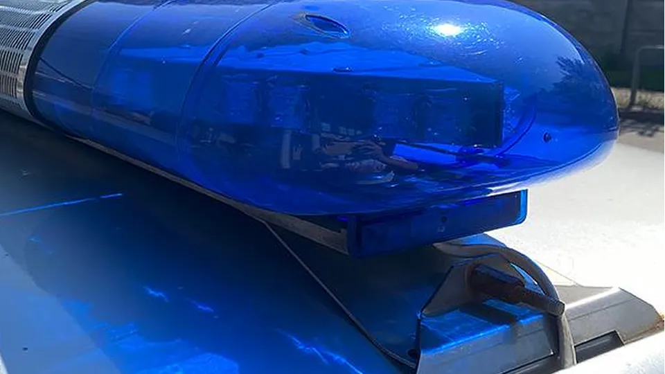 Фото: МедиаБанк Подмосковья/Михаил Волков