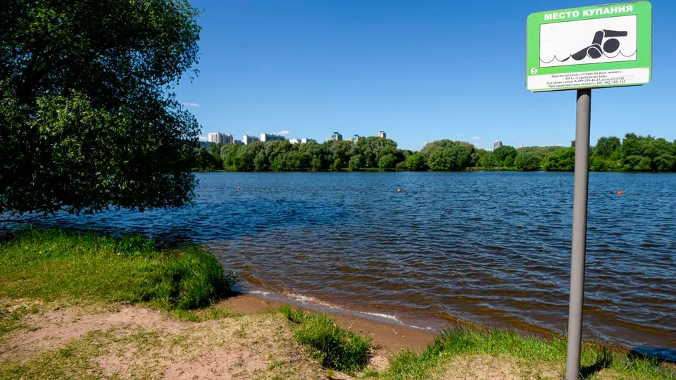 Фото: медиасток.рф