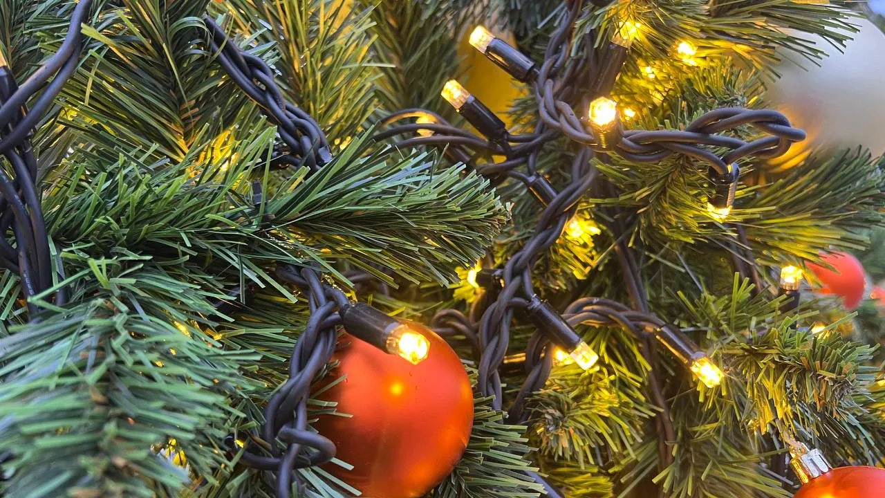 Фото: REGIONS/Татьяна Кордюкова