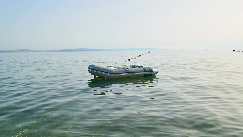 Фото: freepik.com