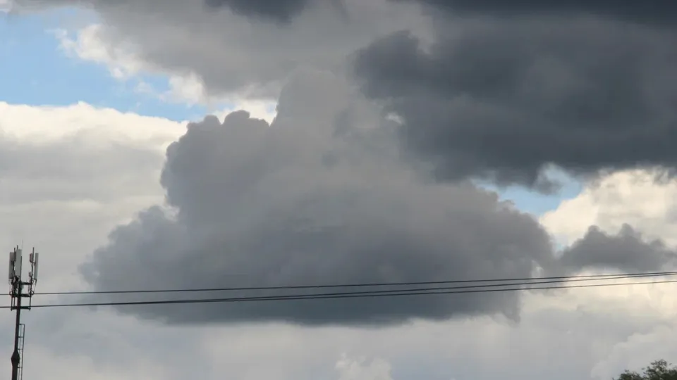 Фото: REGIONS/Василий Тремасов