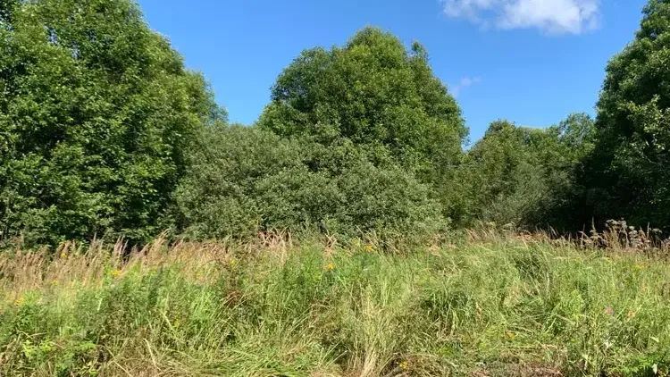 Участок на торгах в м.о.Истра