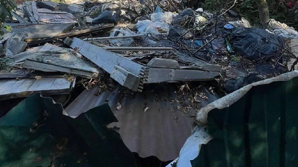 Фото: Министерство экологии и природопользования Московской области