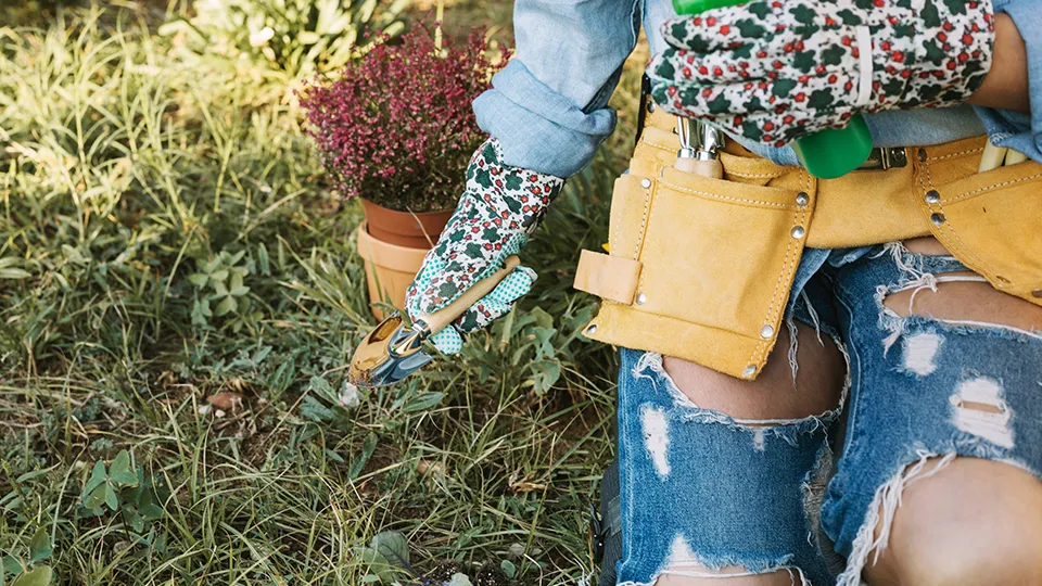 Фото: freepik.com