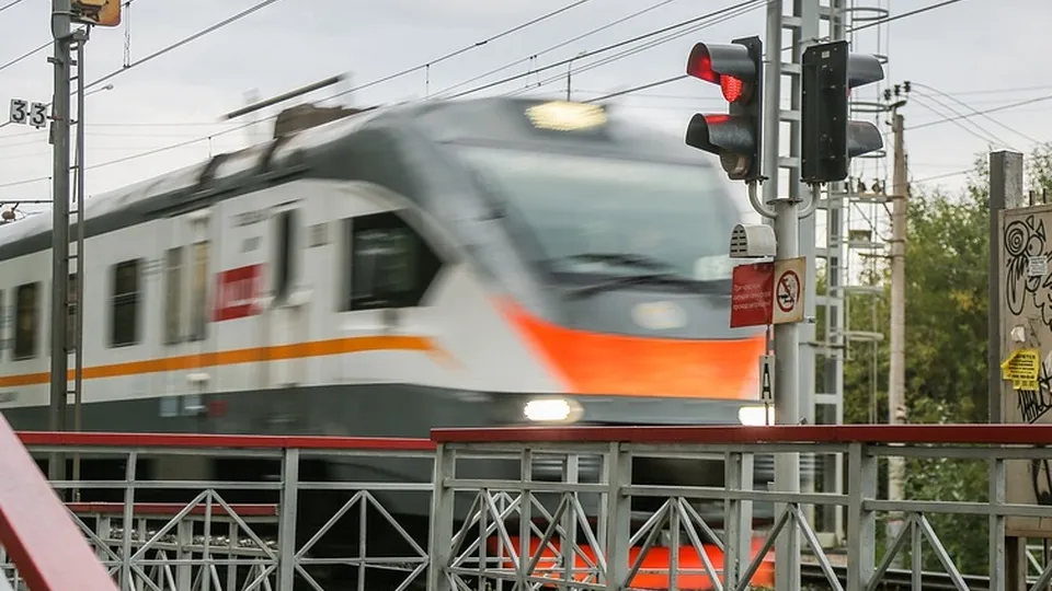 Фото: пресс-служба администрации Одинцовского городского округа