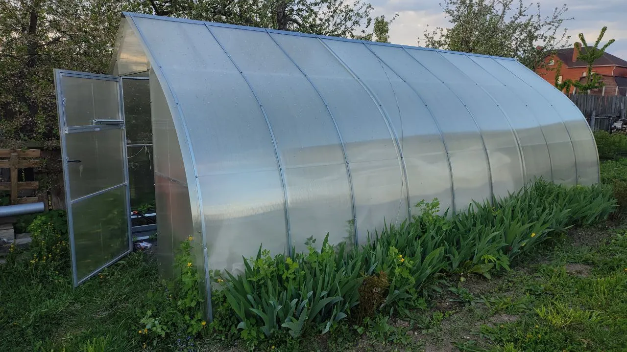 Фото: Елена Забелина