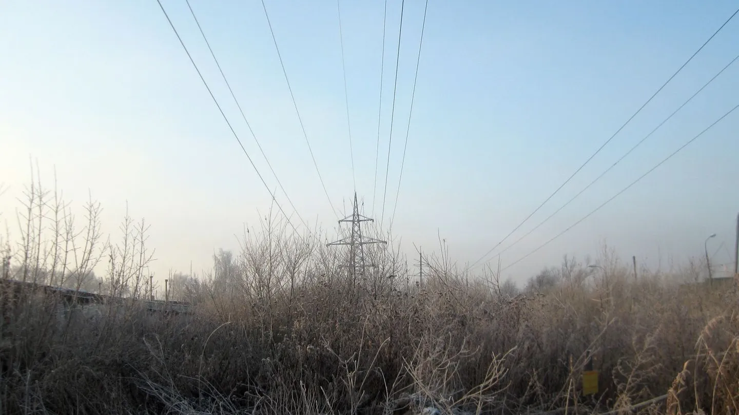 Фото: медиасток.рф