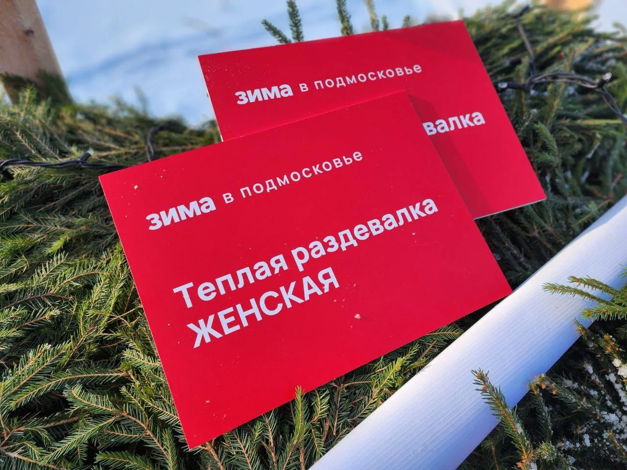 Фото: Яна Шаливская