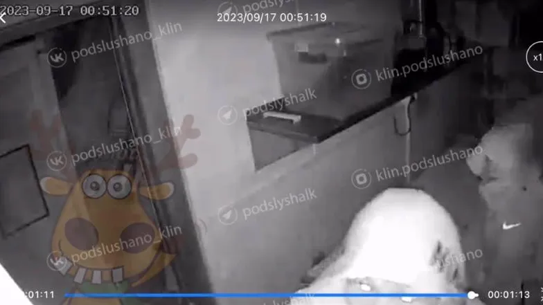 фото: соцсети