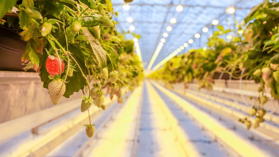 Фото: Владимир Лебедев