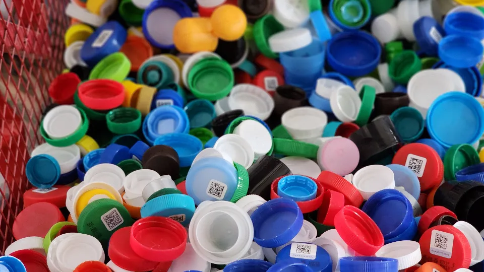 Фото: МедиаБанк Подмосковья/Ксения Пашуто