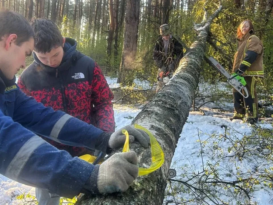 Фото: Министерство образования Московской области