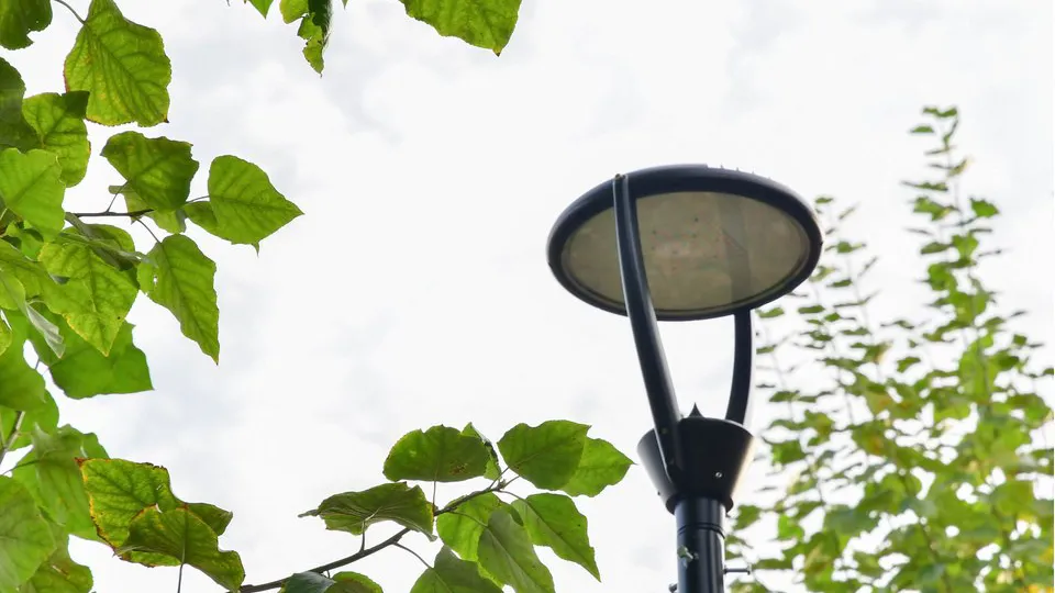 Фото: REGIONS/Наталья Бычкова