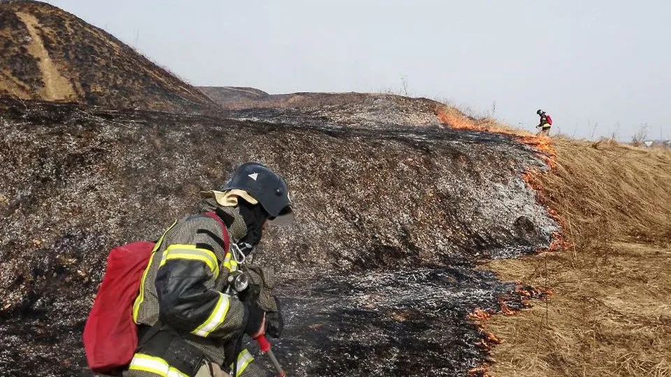 Фото: t.me/gku_mo_mosoblpojspas