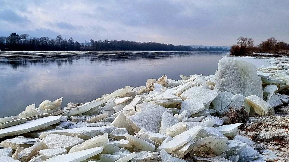 Фото: ТВ «Комсет»