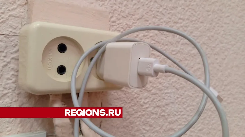 Фото: REGIONS/Василий Тремасов