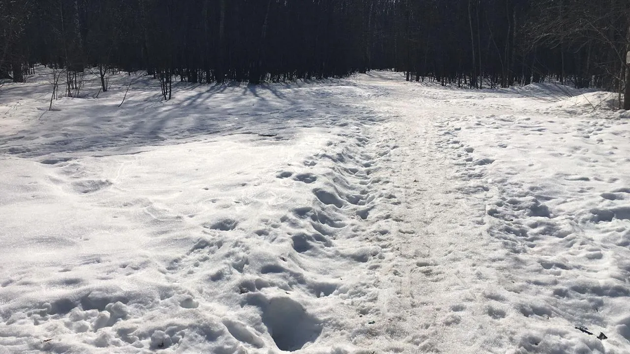 Андрей Синцов