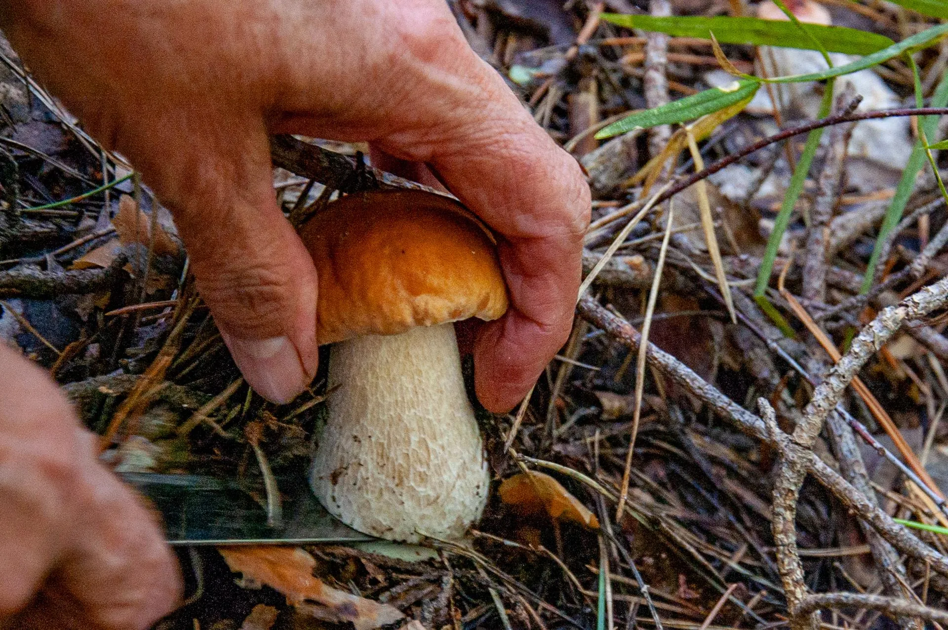 Anastasia Nikitina/Business Online