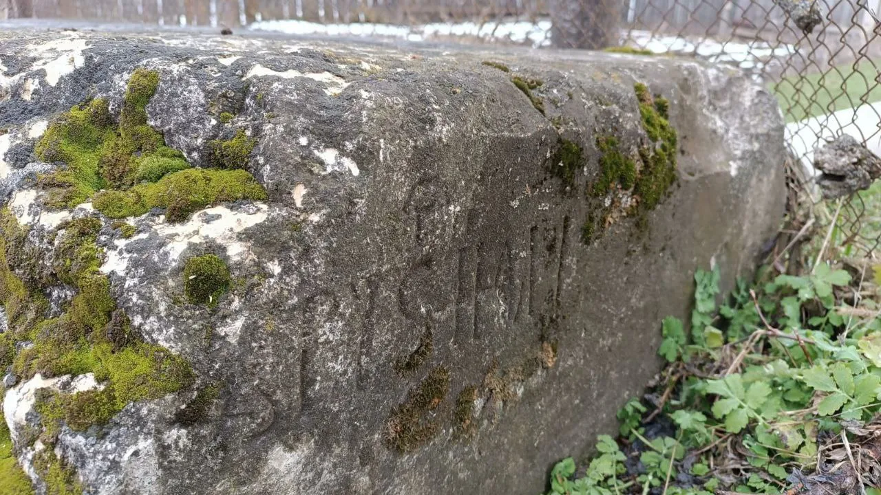 Фото: Екатерина Новосадова