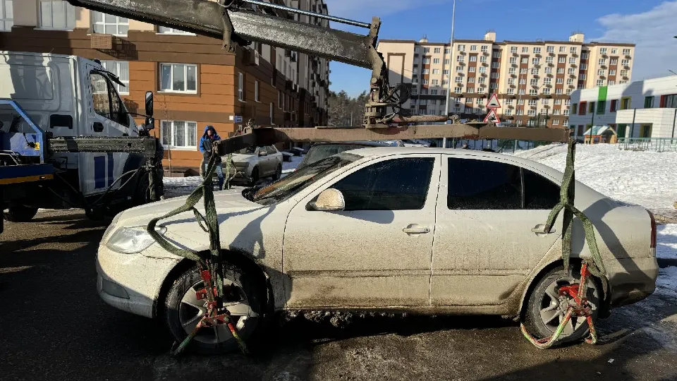 Фото: МедиаБанк Подмосковья/Полина Абраменко