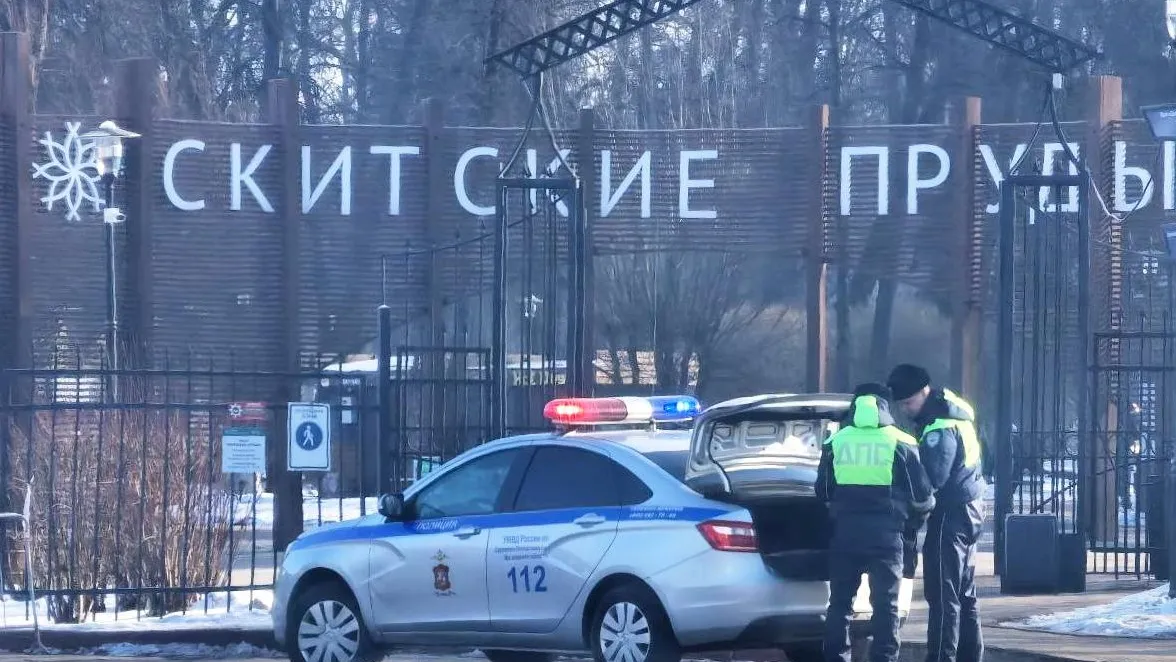 Фото: t.me/BronnikovSP