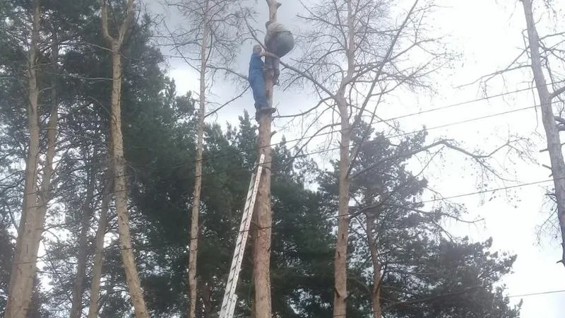 Мособлпожспас