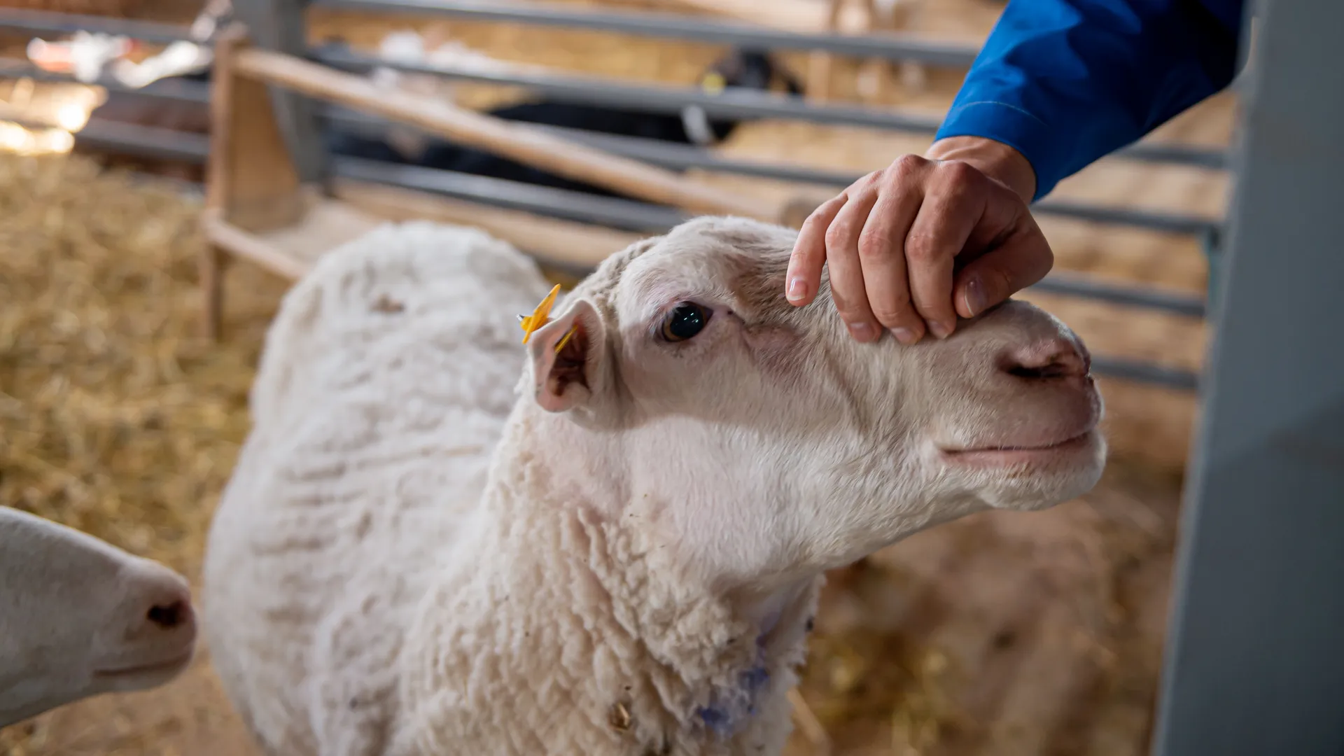 медиасток.рф