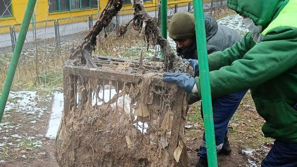 Фото: пресс-служба администрации г.о.Котельники