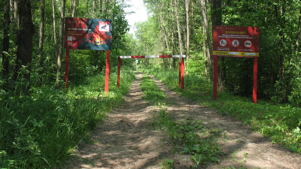 Фото: филиал «Русский лес «ГКУ МО Мособллес»