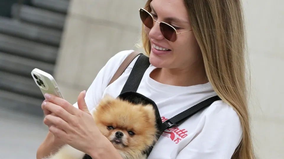 Фото: РИА Новости/Алексей Никольский