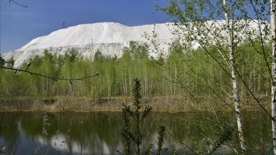 Фото: Яндекс.Карты