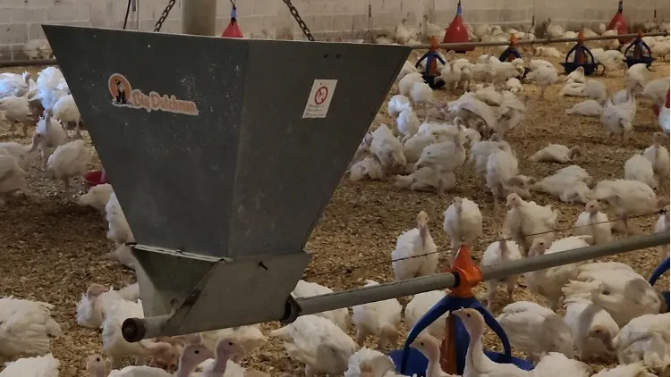 МедиаБанк Подмосковья/Юлия Андросова