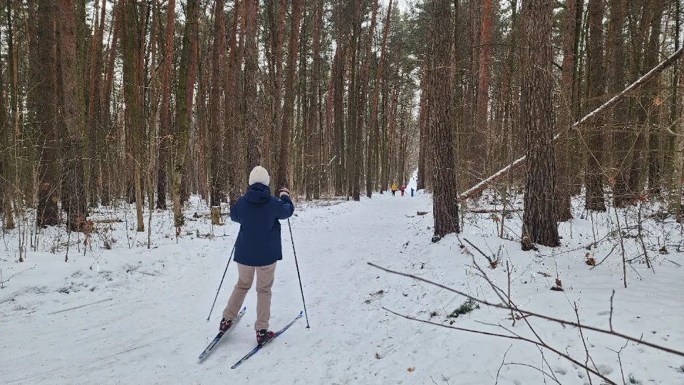 Фото: МедиаБанк Подмосковья/Светлана Плотникова