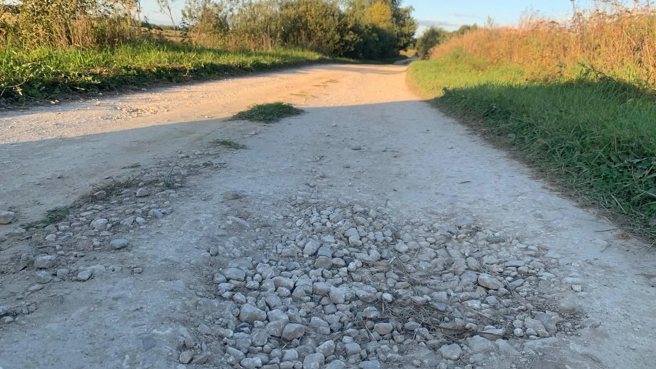 Фото: Екатерина Елисеева