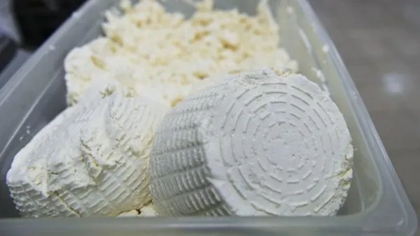 Названы продукты, которые защищают зубы от кариеса