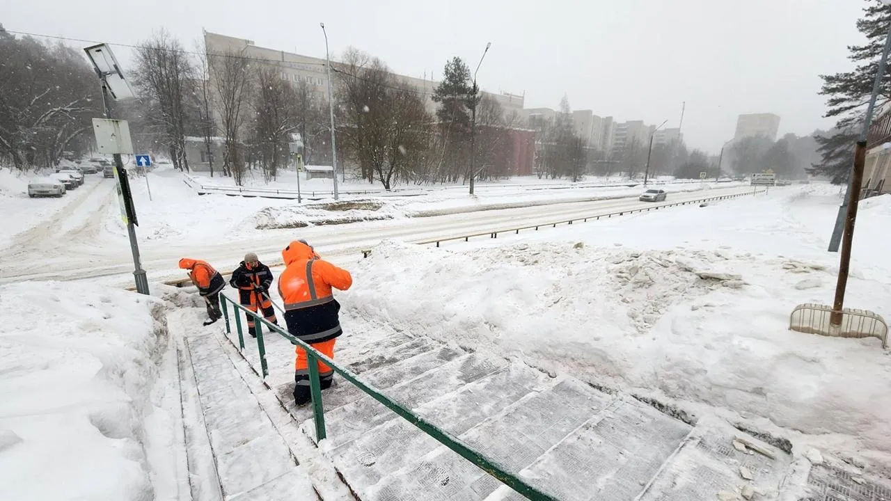 REGIONS/Анна Мороз