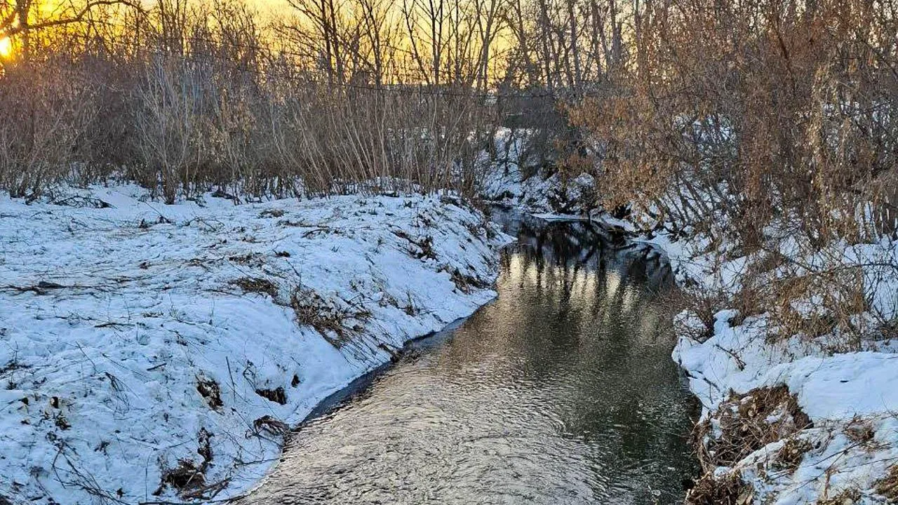 REGIONS/Юлия Габбасова