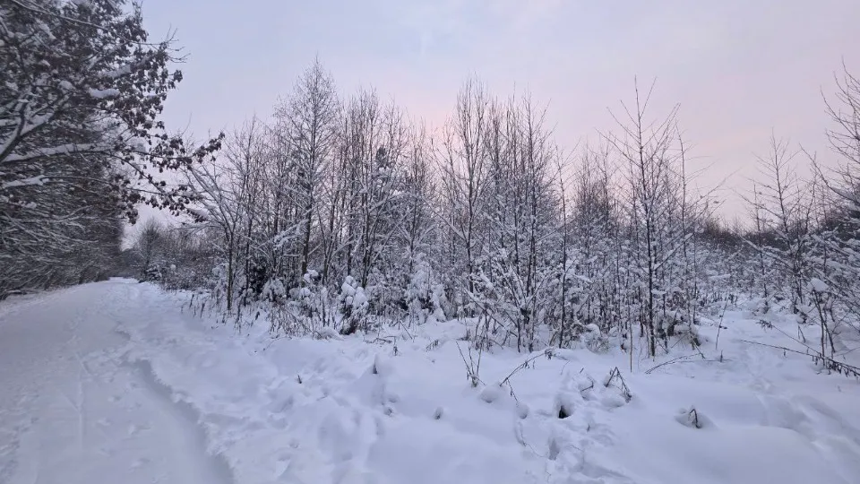 Фото: REGIONS/Ольга Ковалева